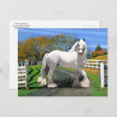 「栄光のノエル」 ポストカード (正面/裏面)