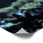 栄光のライオンフィッシュ ポスター (角)