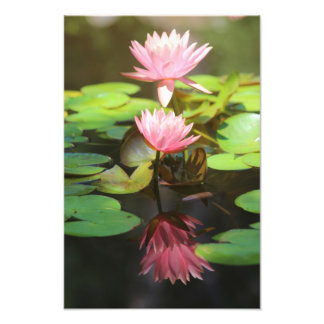 栄光の反射 フォトプリント           