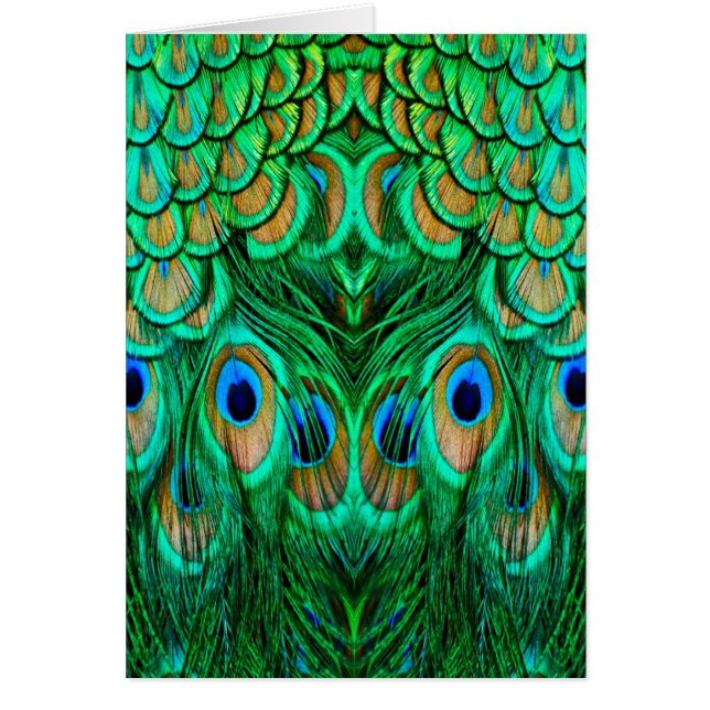 栄光の孔雀の羽 (正面)