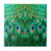 栄光の孔雀の羽 タイル (正面)