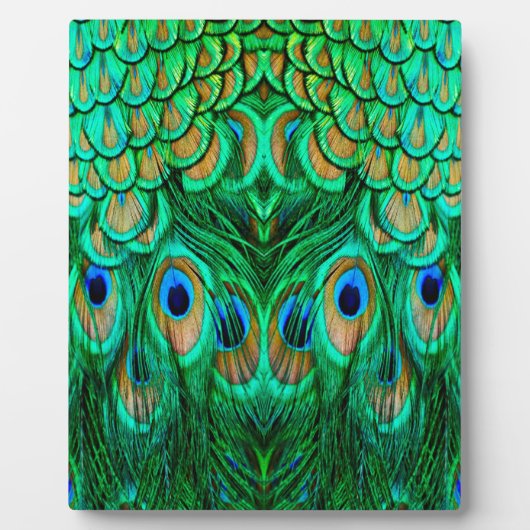 栄光の孔雀の羽 フォトプラーク (正面)