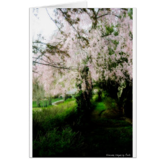 栄光の春カード