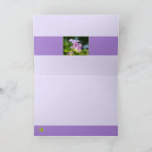 栄光の朝2 カード (内部)