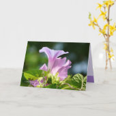 栄光の朝2 カード (黄色い花)