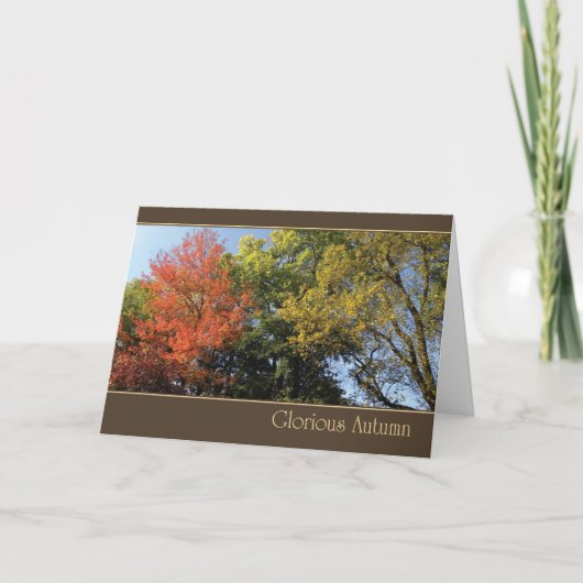 栄光の秋 シーズンカード (正面)