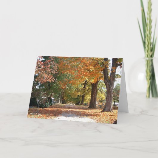 栄光の道 カード (正面)