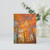 栄光を志す ポストカード (スタンド正面)