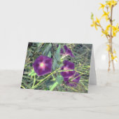 栄光 カード (黄色い花)