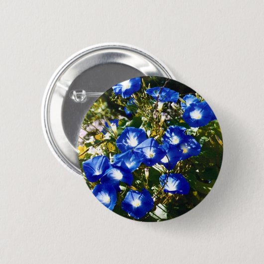 栄光 缶バッジ (正面&裏面)