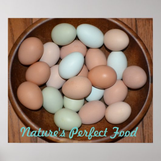 栄養卵ポスター ポスター (正面)