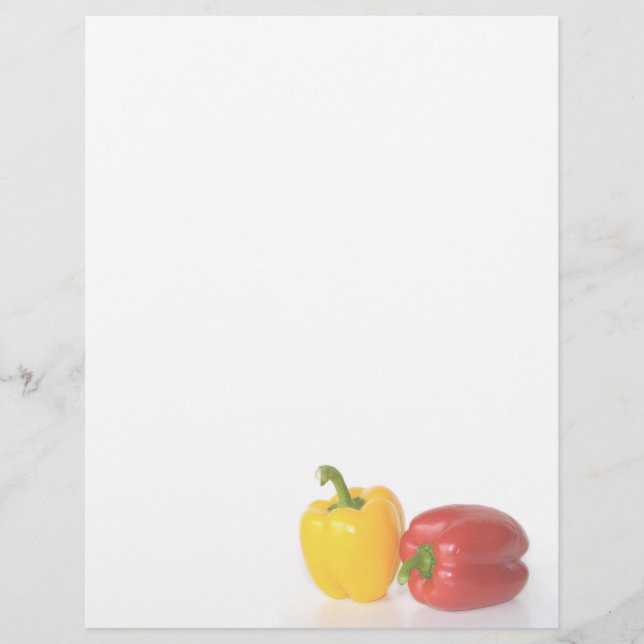 栄養士チーフレターヘッド固定 (正面)