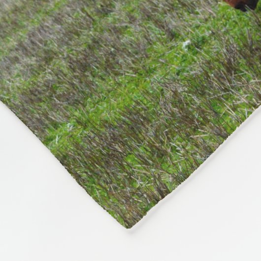 栗とアラブの馬が写真のコラージュで フリースブランケット (角)