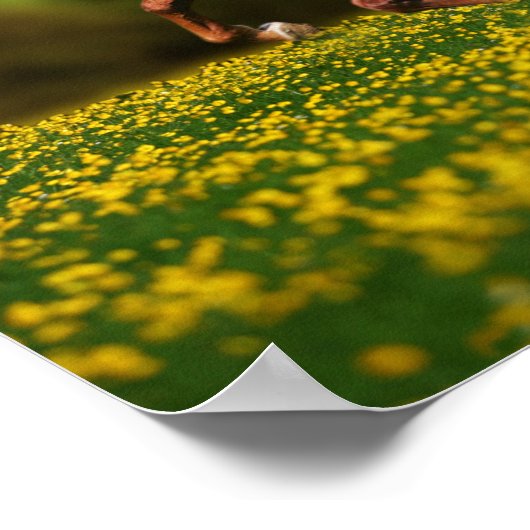 栗のルシタランニングーノのバターカップ ポスター (角)