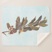 栗の上のオードボンの黄色い喉の切れ端 シェルパブランケット (正面(横))