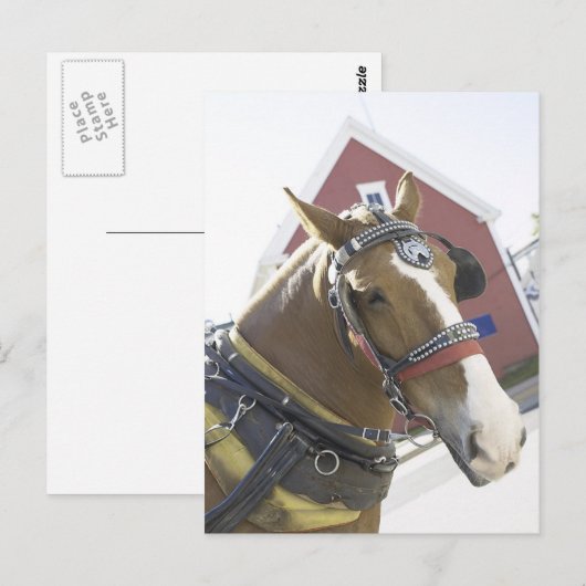 栗の台車馬 ポストカード (正面/裏面)