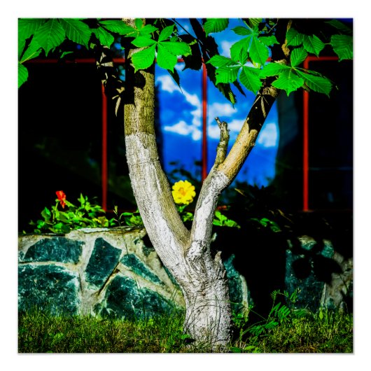 栗の木 ポスター (正面)