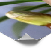 栗の芽 ポスター (角)