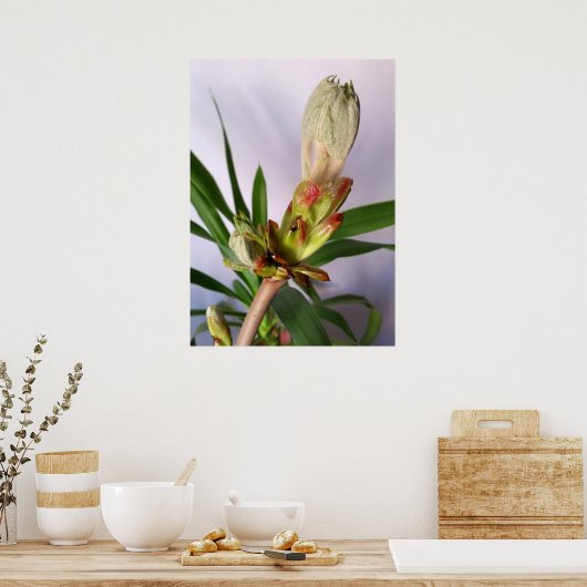 栗の芽 ポスター (キッチン)