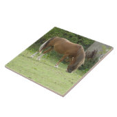 栗の茶色の馬の放牧タイル タイル (側面)