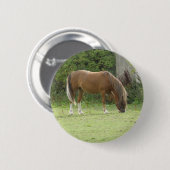 栗の茶色の馬の放牧ボタン 缶バッジ (正面&裏面)