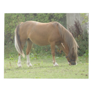 栗の茶色の馬の放牧メモ帳 ノートパッド