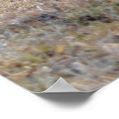 栗の馬が丘を駆け上がる写真 ポスター (角)