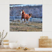 栗の馬が丘を駆け上がる写真 ポスター (キッチン)