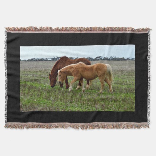 栗の馬とパロミノの馬 スローブランケット (正面)