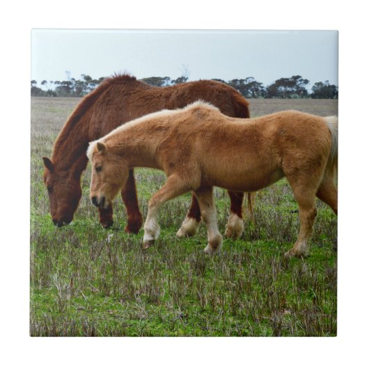 栗の馬とパロミノの馬 タイル (正面)
