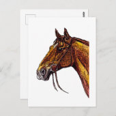 栗の馬のインク ポストカード (正面/裏面)