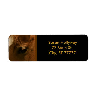 栗の馬のソウルフルな目 ラベル