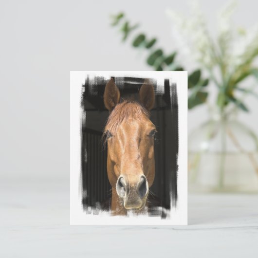 栗の馬はがき ポストカード (スタンド正面)