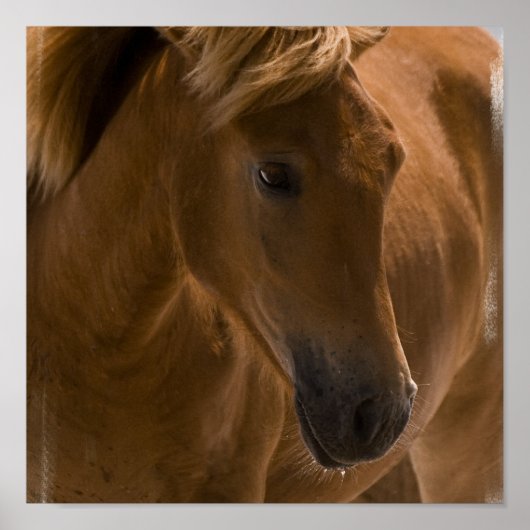 栗の馬デザインプリント ポスター (正面)