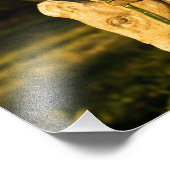 栗の馬 フォトプリント (角)