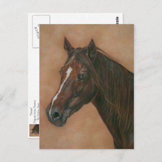 栗ウマ科の馬茶色の馬の写真 ポストカード (正面/裏面)