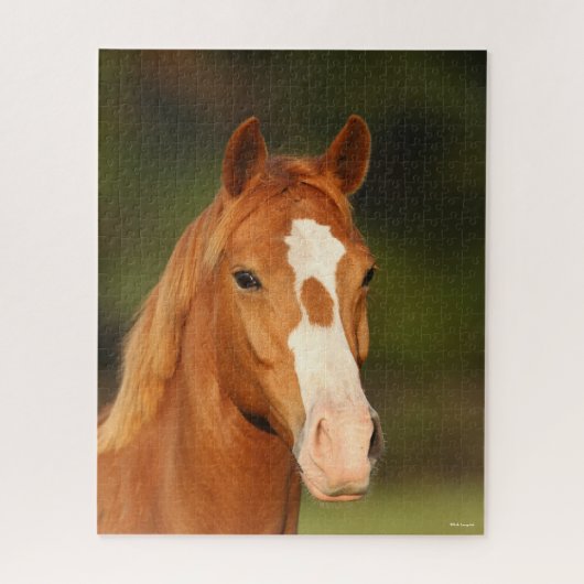 栗オルデンバーグクロスウェルシュヘッドショット ジグソーパズル (縦)