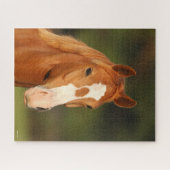 栗オルデンバーグクロスウェルシュヘッドショット ジグソーパズル (横)