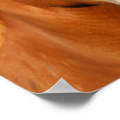 栗オルデンバーグクロスウェルシュヘッドショット ポスター (角)