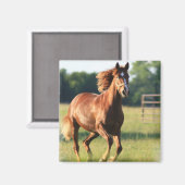 栗ガロッピング馬磁石 マグネット (正面/裏面)