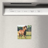 栗ガロッピング馬磁石 マグネット (インサイチュ (食洗機))