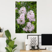 栗ケープのクローズアップ ポスター (ホームオフィス)