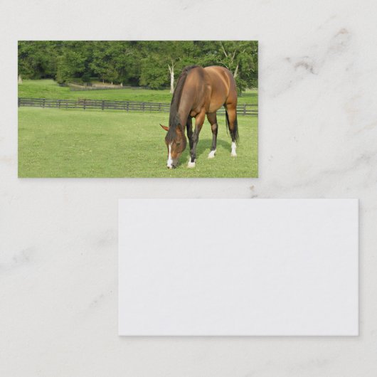 栗毛の馬の名刺 名刺 (正面/裏面)
