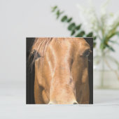栗毛の馬の招待 招待状 (スタンド正面)