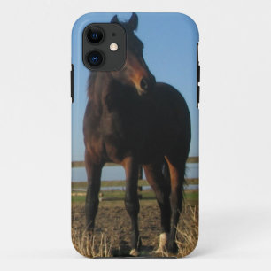 栗毛の馬 iPhone 11 ケース