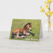 栗毛ベビー馬-誕生日カード カード (黄色い花)