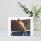 栗毛 ポストカード (スタンド正面)