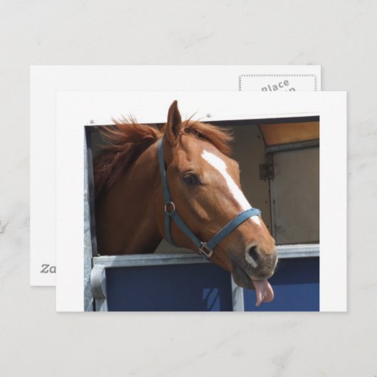 栗毛 ポストカード (正面/裏面)