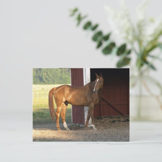 栗立ち ポストカード (スタンド正面)