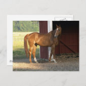 栗立ち ポストカード (正面/裏面)